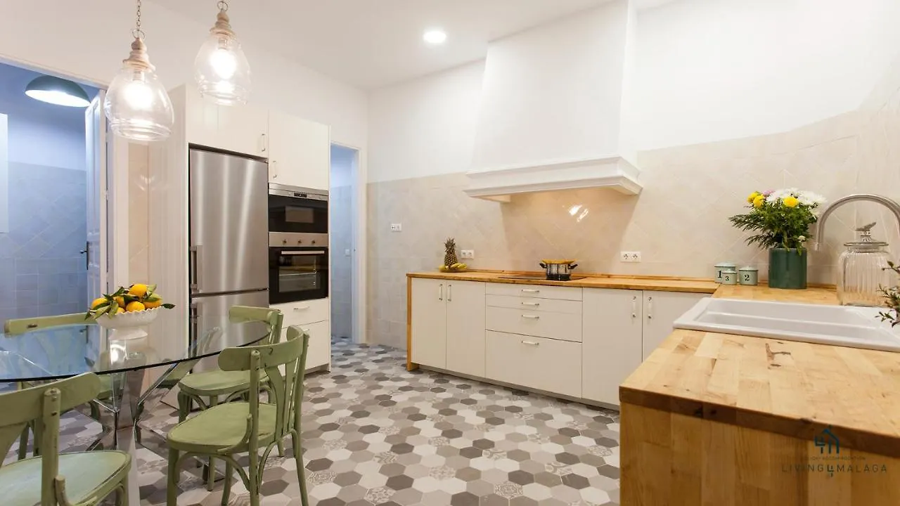 Living4Malaga Aduana Presidential Apartment 0*, Malaga